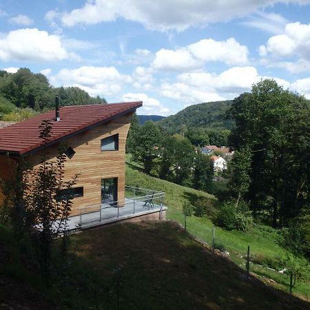 Villa Cora Venez Neuve Avec Spa Saint-Bresson Экстерьер фото