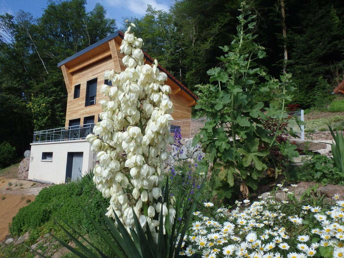 Villa Cora Venez Neuve Avec Spa Saint-Bresson Экстерьер фото
