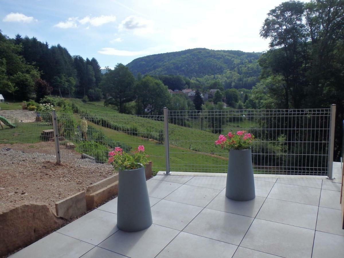 Villa Cora Venez Neuve Avec Spa Saint-Bresson Экстерьер фото