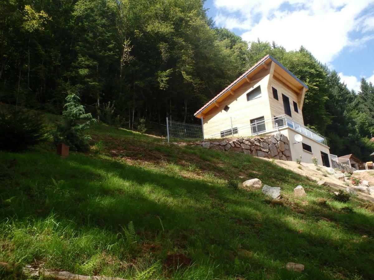 Villa Cora Venez Neuve Avec Spa Saint-Bresson Экстерьер фото