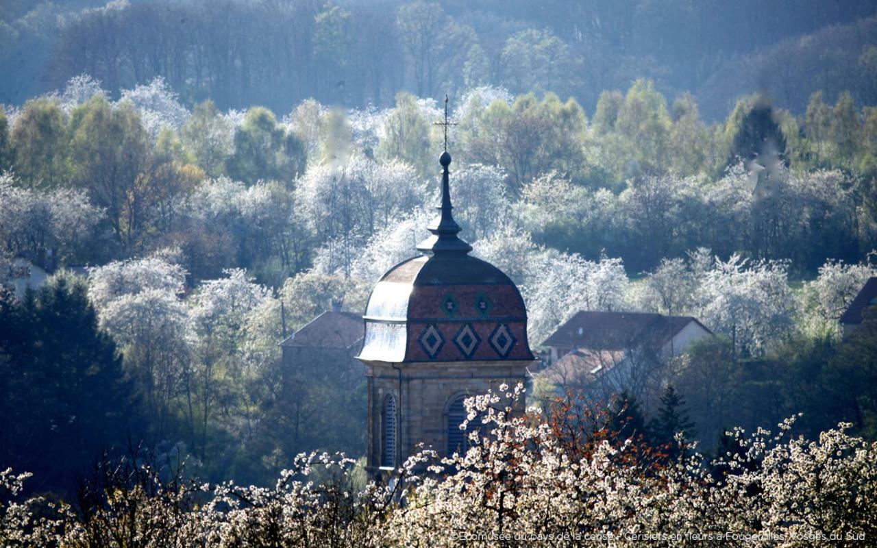 Villa Cora Venez Neuve Avec Spa Saint-Bresson Экстерьер фото